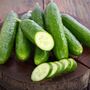 Vegetable Plants Cucumber 'Femspot' Plug Plant Packs, thumbnail 10 of 11