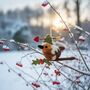 Handmade Felt Robin Pud Hanging Decoration, thumbnail 1 of 4