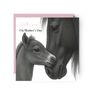 Stunning Horse And Foal Mother's Day Card, thumbnail 1 of 4
