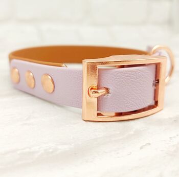 Waterproof Dog Collar And Lead Set Light Brown/Lilac, 2 of 3