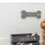 Large Coloured Dog Toy Storage Box With Raised Design, thumbnail 5 of 11