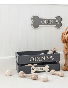 Large Coloured Dog Toy Storage Box With Raised Design, 5 of 11