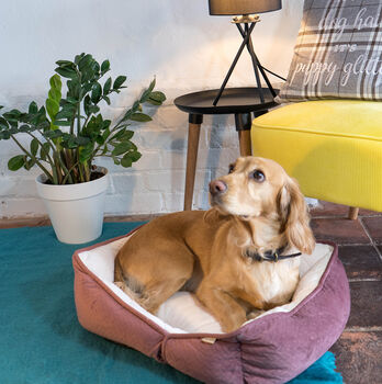 Luxury Soft Quilted Dog Bed, 9 of 9