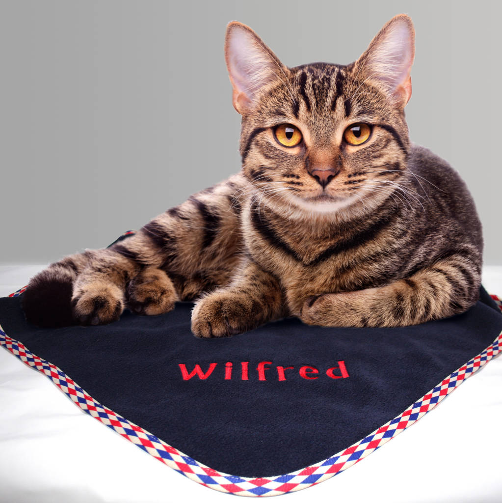 Personalised Cat Blanket, 1 of 12