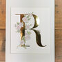 R Is For Rose Illuminated Botanical Letter Print, thumbnail 2 of 6