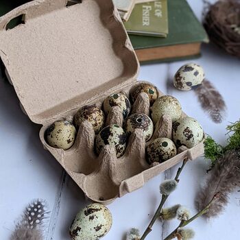 Decorative Natural Quails Eggs, Box Of 12, 8 of 12