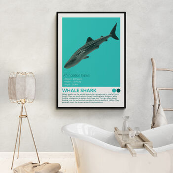 Sharks And Orca Wall Art Prints Set Of Seven, 4 of 8