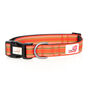 Comfort Collection Padded Dog Collar, thumbnail 6 of 11
