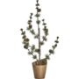 Cedar Potted Tree, thumbnail 2 of 3