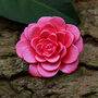 Camellia Pink Flower Brooch, thumbnail 1 of 5