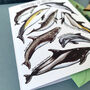 Dolphins Of Britain Greeting Card, thumbnail 9 of 12