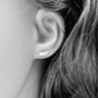 Sterling Silver Feather Earrings And Gift Box, thumbnail 2 of 6