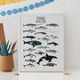 Personalised Whale And Dolphin Print, thumbnail 7 of 7