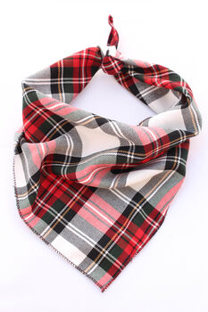 Alfies Red And White Tartan Plaid Dog Celebration Bandana, 7 of 7