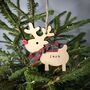 Personalised Christmas Rudolph Reindeer Decoration, thumbnail 1 of 10