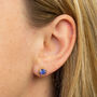 Gold Plated Sterling Silver September Sapphire Birthstone Stud Earrings, thumbnail 2 of 4