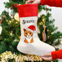 Personalised Santa Cat Christmas Present Stocking, thumbnail 1 of 3