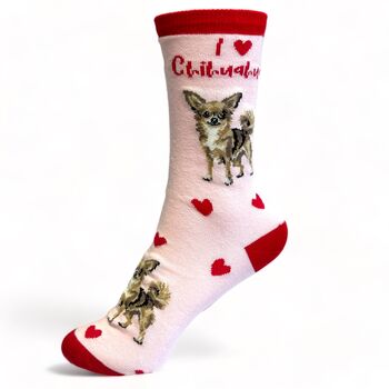 I Love Chihuahuas Socks Novelty Gift, 3 of 6