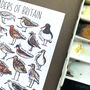 Waders Of Britain Watercolour Postcard, thumbnail 7 of 11