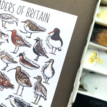 Waders Of Britain Watercolour Postcard, 7 of 11