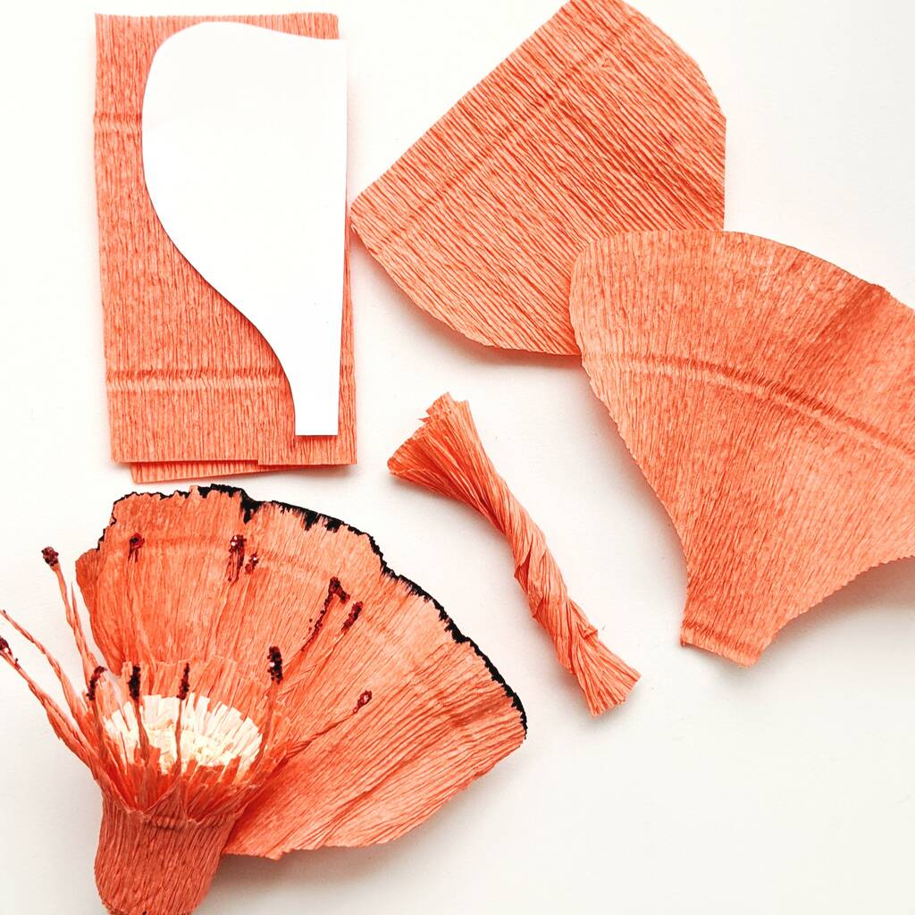 Blush Crepe Paper Flower Craft Kit By The Danes