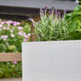 Mela Wide White Ribbed Planter, thumbnail 3 of 5