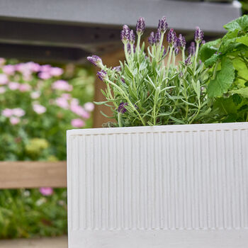 Mela Wide White Ribbed Planter, 3 of 5