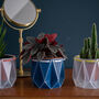 Origami Self Watering Eco Plant Pot: 10cm | Navy, thumbnail 5 of 9