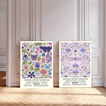 Set Of Two Butterfly Natural History Museum Art Prints, 2 of 4