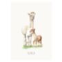 Alpacas Personalised Watercolour Print, thumbnail 4 of 5