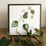 Winter Bouquet And Berries Botanical Card Pack, thumbnail 4 of 5