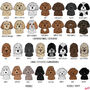 Personalised You And Your Dog Organic T Shirt, thumbnail 9 of 12
