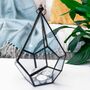 Hanging Geometric Diamond Glass Terrarium, thumbnail 1 of 4