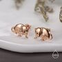 Sterling Silver Opposum Stud Earrings, thumbnail 4 of 12