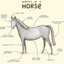 Anatomy Of A Horse Art Print By Sophie Corrigan, thumbnail 3 of 4