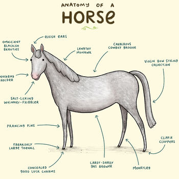Anatomy Of A Horse Art Print By Sophie Corrigan, 3 of 4