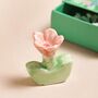Tiny Matchbox Blooming Ceramic Flower Token, thumbnail 2 of 3