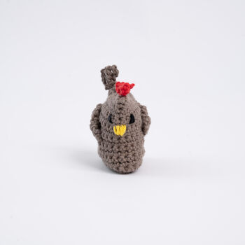The Hen And Chick Beginner Crochet Kit, 6 of 12