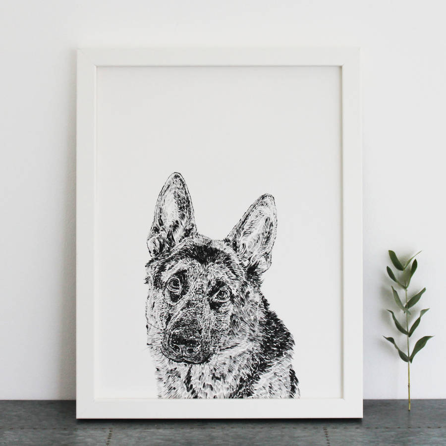 german shepherd print by ros shiers | notonthehighstreet.com