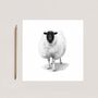 Hand Drawn Woolly Sheep Countryside Greeting Card, thumbnail 3 of 6