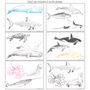 Sea Animals Wall Sticker, thumbnail 5 of 7