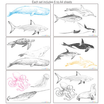 Sea Animals Wall Sticker, 5 of 7