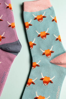 Highland Cow Bamboo Socks Letterbox Giftset, 9 of 9
