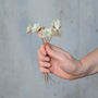 Set Of Three Decorative Ceramic Flower Bud Stems, thumbnail 3 of 10