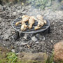 Fire Pit Grill, thumbnail 1 of 4