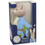 Peter Rabbit Wooden Pull Along Toy By Crafts4Kids | notonthehighstreet.com