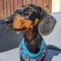 Vintage Clover Green Peonies Dog Harness, thumbnail 9 of 12