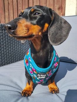 Vintage Clover Green Peonies Dog Harness, 9 of 12