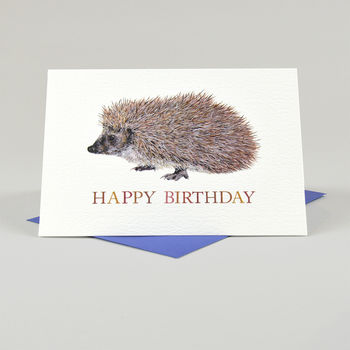 Hedgehog Happy Birthday Card By Naomi Stay | notonthehighstreet.com