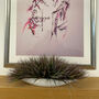 Faux Fountain Grass In Ceramic Bowl, thumbnail 1 of 2